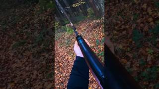 Hämmerli Hunter Force 900 Airgun Shot [upl. by Mackenie]