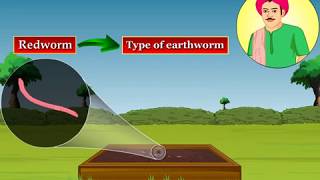 Vermicomposting  Macmillan Education India [upl. by Waterman]