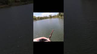 Fishing Lake Cowanesque With a Chatter bait [upl. by Selyn74]