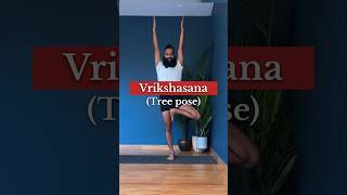 How to do Vrikshasana Yoga Tree Pose  Iyengar Yoga [upl. by Neeloj]