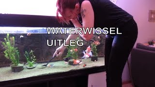 Waterwissel uitleg zo avond VLOG9 [upl. by Hgielanna]