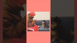 Bts V with Yeontan Cute Moments bts taehyung shorts btsarmy [upl. by Neuburger]