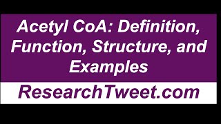 Acetyl CoA Definition Function Structure and Examples [upl. by Redla758]