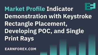 Market Profile with Developing POC in MetaTrader [upl. by Perceval]