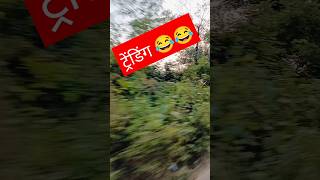 आंगना में सैयां स्विमिंगपूल  shorts youtubeshorts ytshorts trendingsong youtube lucknow up [upl. by Nnylyrehc]