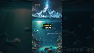 FASCINATING FACTS ABOUT THE MARIANA TRENCH SHORTS PART 1 [upl. by Fechter]