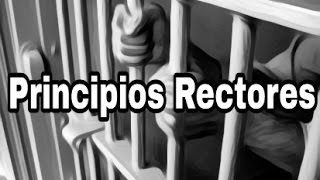 Sistema Procesal Penal Acusatorio y Oral  Principios rectores [upl. by Lartnom]