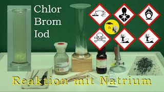 Reaktivität der Halogene  Chlor Brom Iod mit Natrium [upl. by Augy948]