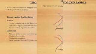 Tipo de cambio y régimen cambiario  Parte 2 [upl. by Eiuqnimod84]
