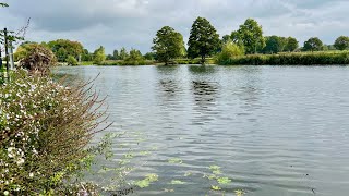 Wallingford Regatta  Dorney Lake 2024 [upl. by Teevens]