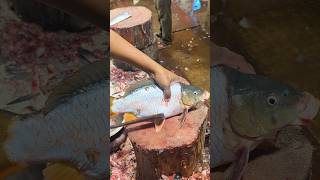 Amazing Carp Fish Cutting Skills In Bangladesh Fish Market By Expert Cutter shorts [upl. by Augustine]