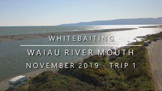 Waiau River Mouth Whitebaiting  November 2019  Trip 1 015 [upl. by Emmi841]