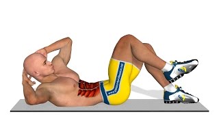 Six Pack Abs Alternating Crunch [upl. by Munster142]