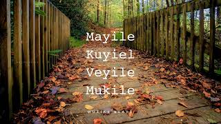 Mayile Kuyile song  Keroke with Lyrics  Tournament Movie  Lal  Deepak dev [upl. by Eeral]