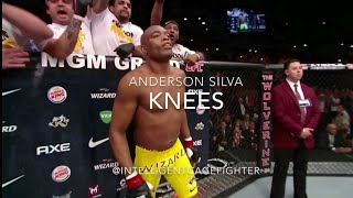 Anderson Silva Knees [upl. by Norrv845]