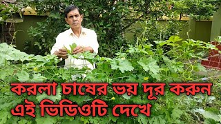 karala cultivationকরলা চাষের সমস্যা ও সমাধান [upl. by Anhaj]