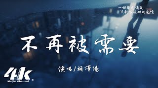 胡澤陽  不再被需要『應該不再被需要，下集分開的預告。』【高音質動態歌詞Lyrics】♫ [upl. by Bernard]