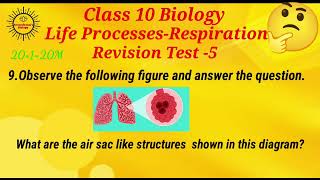 Respiration Revision Test 5 on 1 mark questions cbsescience apbiology lifeprocesses [upl. by Lundell208]