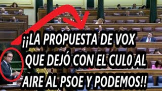 ¡¡La PROPUESTA de VOX que quotDESCOLOCÓquot al PSOE y PODEMOS Congreso de los Diputados [upl. by Feldstein]