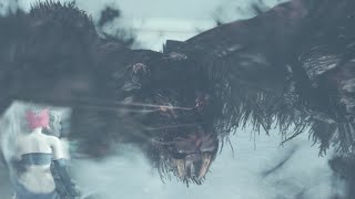 Dark Souls II Crown Of The Ivory King  BOSS FIGHT  Zallen And Lud The Kings Pets  LOCATION [upl. by Maloy]