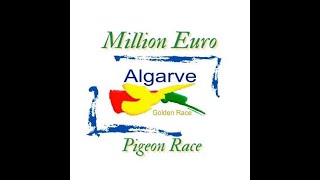 Stream em direto Algarve Golden Race 2024 [upl. by Breed]