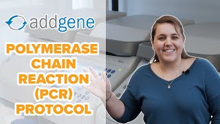 Polymerase Chain Reaction PCR Protocol [upl. by Reiko21]