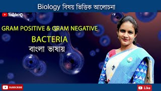 Gram Positive amp Gram Negative Bacteria  Biology in Bengali  Biologenetic [upl. by Celle914]