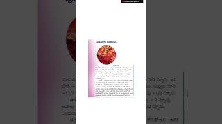 Mango pickle recipe in telugu [upl. by Orsay131]