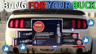 Switching the Mustang Ecoboost Spark Plugs to NGK Laser Iridium Performance Spark Plugs [upl. by Ingalls]