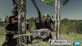 Birches Getting Down  FS22  Timelapse [upl. by Odlanra]