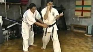 Technique kyokushin  Ryu Narushima [upl. by Itsrejk]