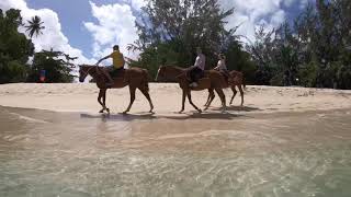 Mango Bay Hotel Holetown Barbados June 2018 [upl. by Smailliw36]