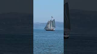 Gaff rigged schooner and Alcatraz island 92324 [upl. by Judye]