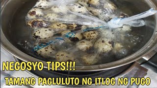 PAANO MAGLUTO NG ITLOG NG PUGO I NEGOSYO TIPS [upl. by Aicnelev]