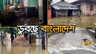 চারদিকে বন্যার্ত অসহায় মানুষের হাহাকার  Flood in Bangladesh  Flood News  Ekhon TV [upl. by Godewyn]