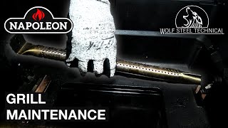 Napoleon Grill Cleaning amp Maintenance [upl. by Tuck]