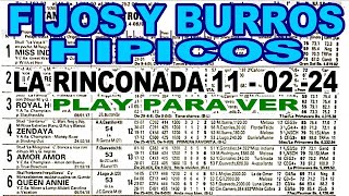 PRONOSTICOS FIJOS Y BURROS HIPICOS 110224  LA RINCONADA [upl. by Yllib506]