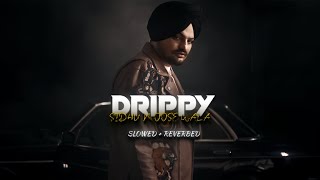 Drippy  Sidhu Moose Wala  Slowed  Reverbed   Punjabi Song  Full Song [upl. by Mclain]