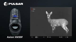 Pulsar Axion XM30F showing a young roe deer Short unit footage from this great thermal spotter [upl. by Aniar180]