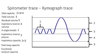 Alevel Biology Spirometer and traces [upl. by Nillok135]