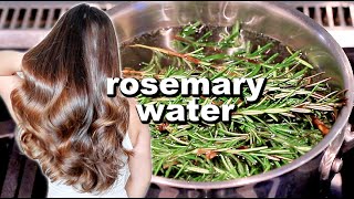 ROSEMARY WATER FOR HAIR GROWTH  DIY Rosemary Water Recipe amp How To Use It [upl. by Schenck]