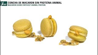 Concha de macaron sin proteína animal  Potatowhip  Texturizantes [upl. by Sholom]