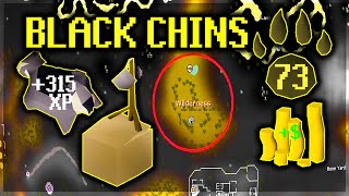 Black Chinchompa Money Making Guide  Old school runescape [upl. by Earissed172]