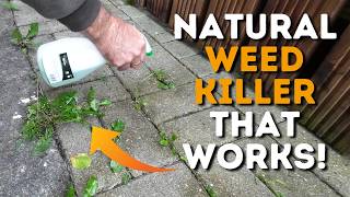 Homemade Weed Killer Really Effective amp Really Cheap [upl. by Cromwell504]