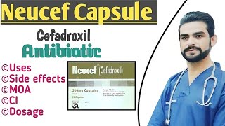 Neucef capsule uses in urdu hindi  indications side effects dosages contraindications [upl. by Michaud947]