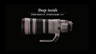 Canon EF200400mm f4L IS USM Extender 14x [upl. by Irod]