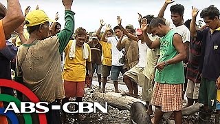 TV Patrol Pagpapatayo ng hydro power plant sa Mindoro ipinoprotesta [upl. by Amber]