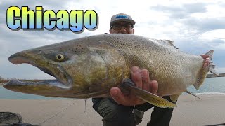 Chicago Salmon Fishing 2023 Rapala J13 [upl. by Doreen27]