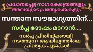 Mannarasala Ayilyam 2024  Sarpa Preethi  Sarpa Doshangalk pariharam  Ayilyam  Nagaraja Temple [upl. by Claybourne]