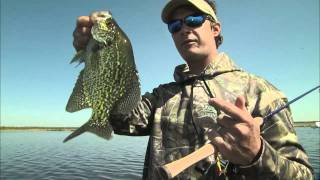 Immediate Spring Crappie Techniques [upl. by Weintrob]